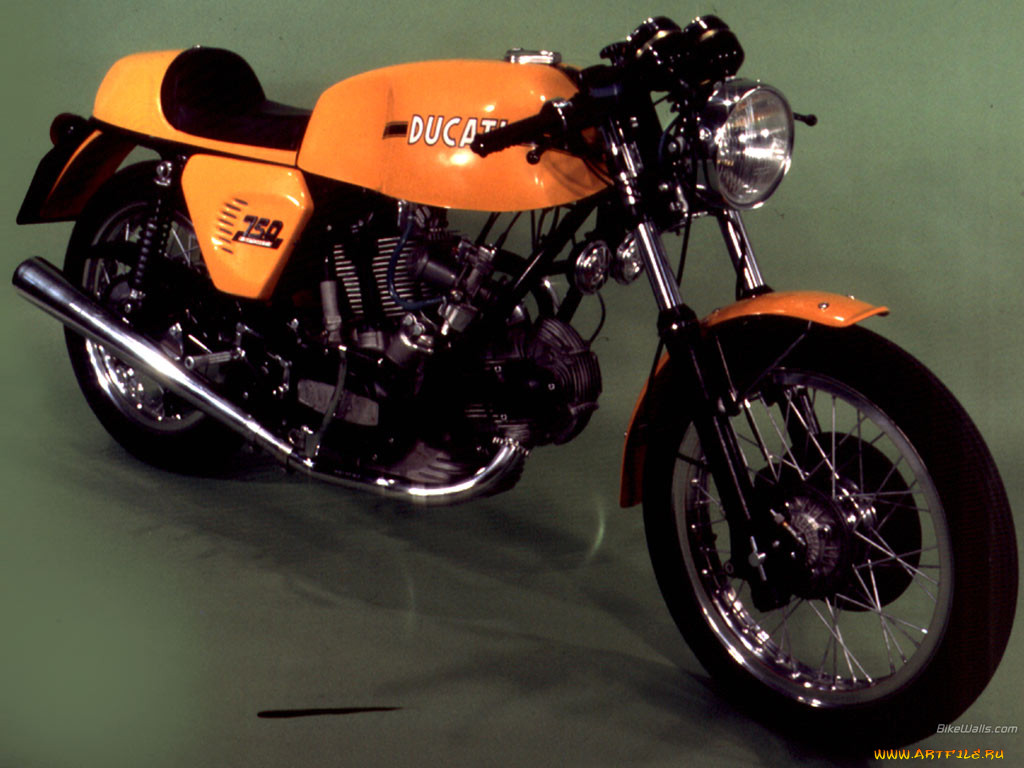, ducati